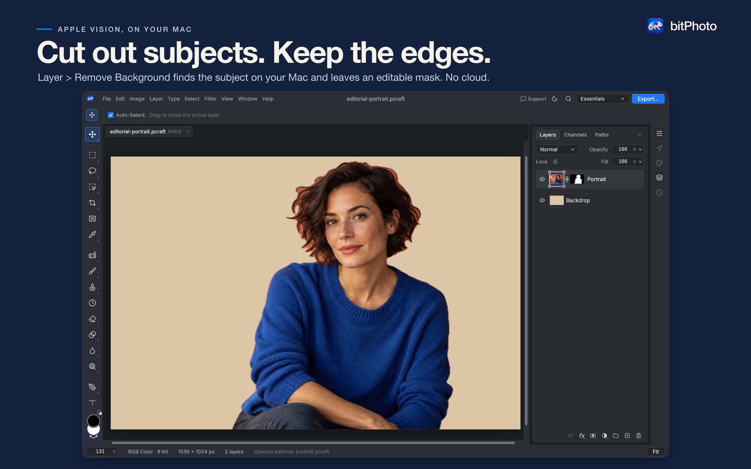 Development preview: Apple Vision subject cutout with an editable layer mask in the Focus workspace.